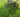 The Facts Behind Mulching: Proven Lawn Benefits Backed by Real UK Statistics
