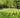 How To Measure Your Garden Correctly