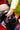 Toro Lawn Mower Side View, shop lawn care equipment at Greenstripe UK