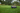 Petrol Lawn Mower with rollers, shop Husqvarna mowers at Greenstripe UK