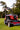 Toro eTimeMaster Lawn Mower, buy online at Greenstripe UK