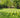 How To Measure Your Garden Correctly