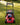   Toro Petrol Mower, best lawn care equipment deals at Greenstripe UK
