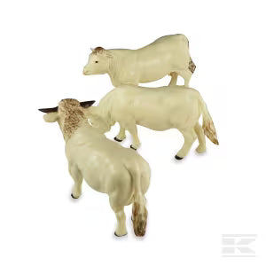 B43240 Charolais cow set