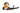 BGA 300.1