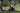  Husqvarna Mulching Mower, buy lawnmower online UK at Greenstripe
