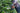 Husqvarna 122HD45 Petrol Hedge Trimmer