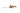 HSA 30