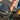Hayter Harrier 41 PRO 60V Cordless Rear-Roller Lawnmower (Tool Only)